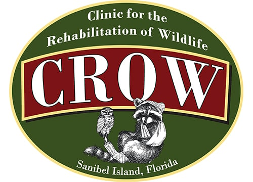 Image result for Clinic for the Rehabilitation of Wildlife